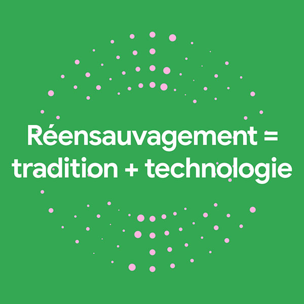Réensauvagement = tradition + technologie