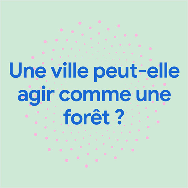 Une ville peut-elle agir comme une forêt