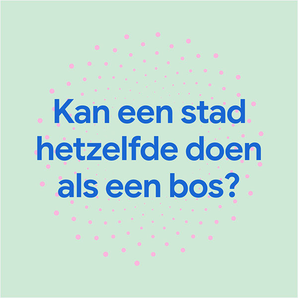 Kan een stad hetzelfde doen als een bos?