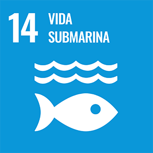 14 Vida submarina
