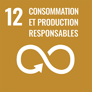 12 Consommation et production responsables